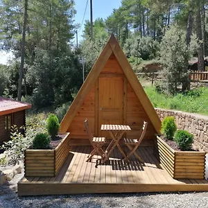 https://camping-la-ribera-salada.catalonia-hotels.com